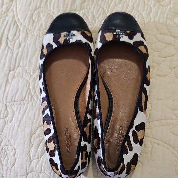Coach Shoes - Coach Leopard Print Ballet Flats with Black Cap Toe